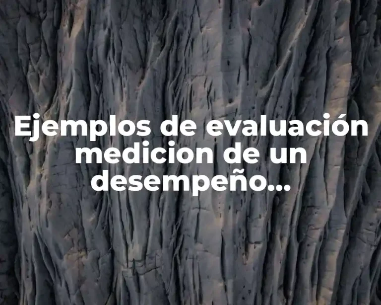 Ejemplos de evaluación medicion de un desempeño administrativo