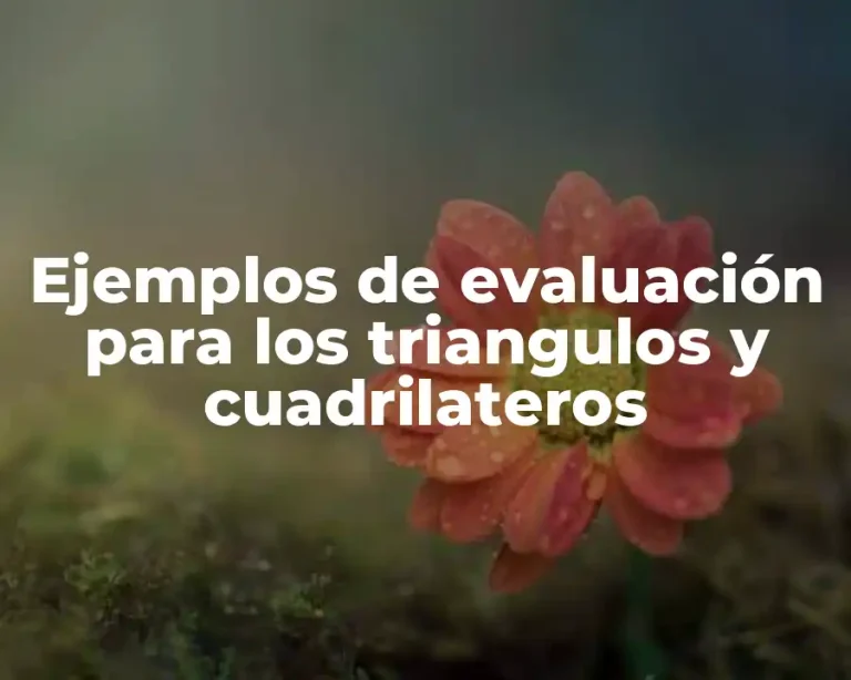 Ejemplos de evaluación para los triangulos y cuadrilateros