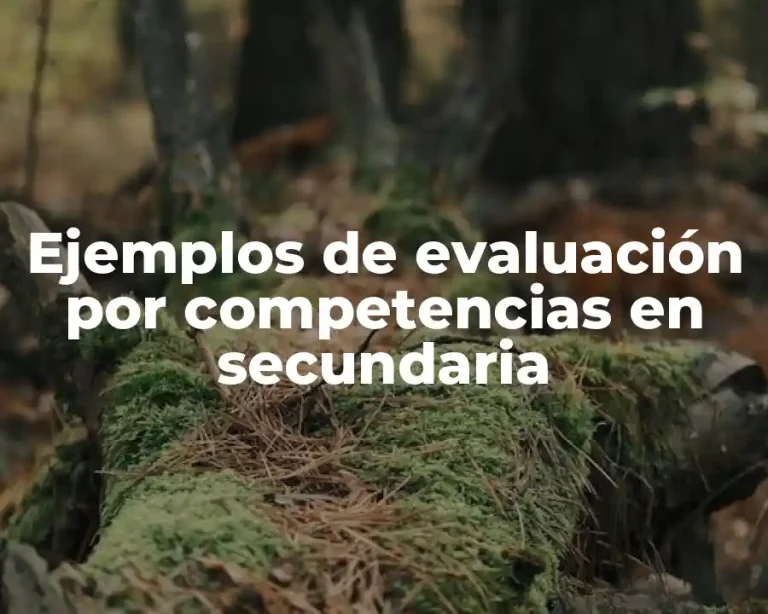 Ejemplos de evaluación por competencias en secundaria