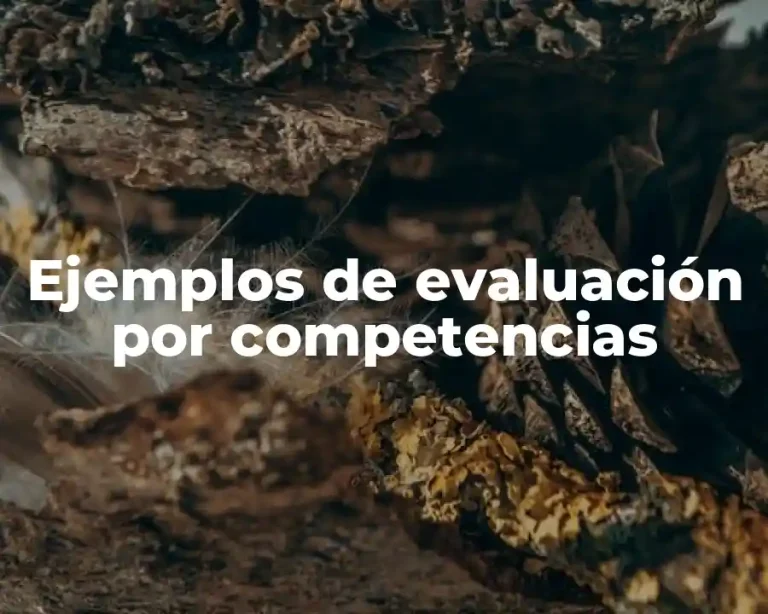 Ejemplos de evaluación por competencias