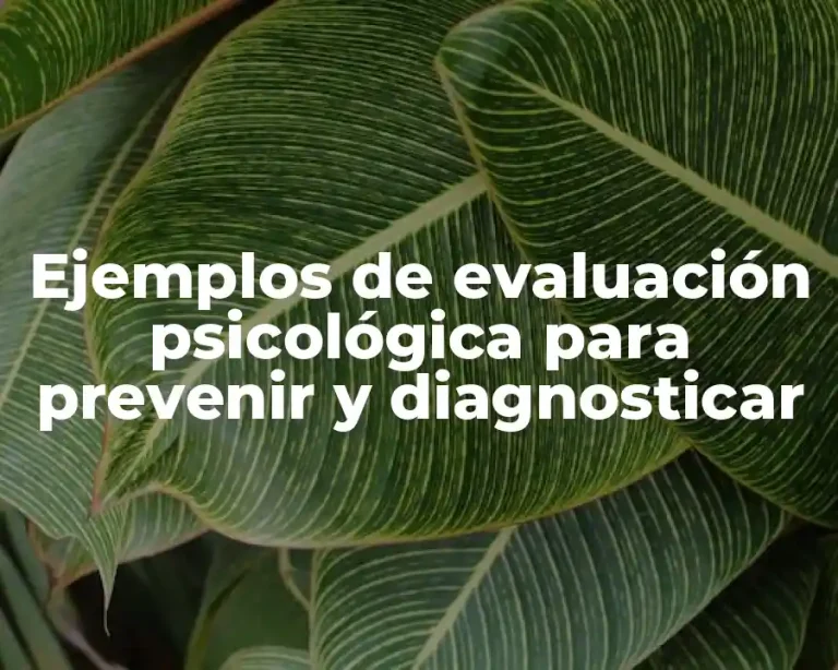 Ejemplos de evaluación psicológica para prevenir y diagnosticar