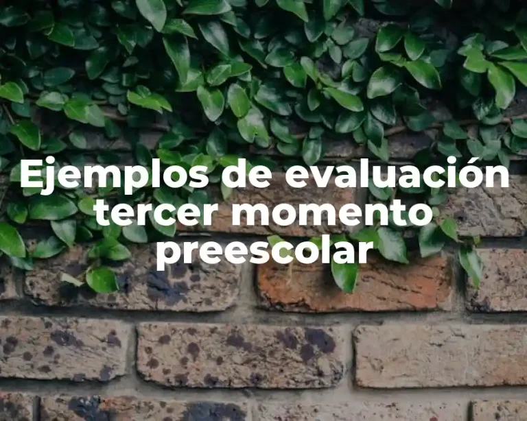 Ejemplos de evaluación tercer momento preescolar