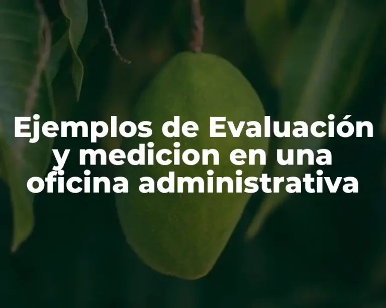 Ejemplos de Evaluación y medicion en una oficina administrativa