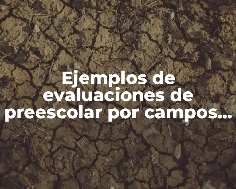 Ejemplos de evaluaciones de preescolar por campos formativos buenas tareas