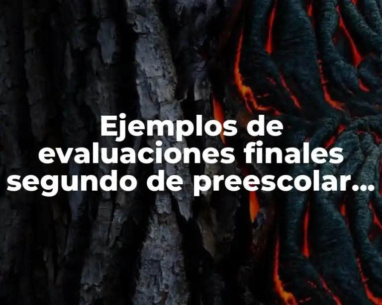 Ejemplos de evaluaciones finales segundo de preescolar por campos