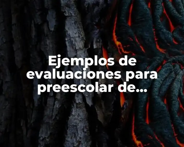 Ejemplos de evaluaciones para preescolar de educación física
