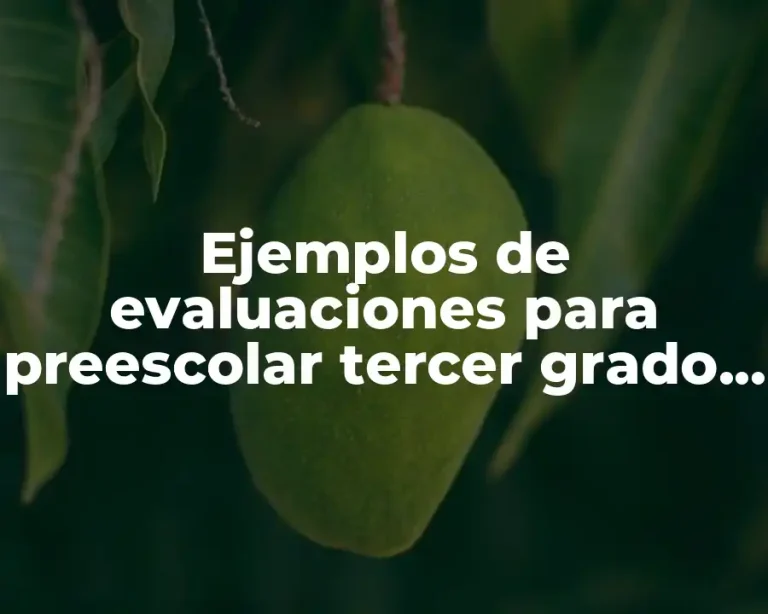 Ejemplos de evaluaciones para preescolar tercer grado por campos