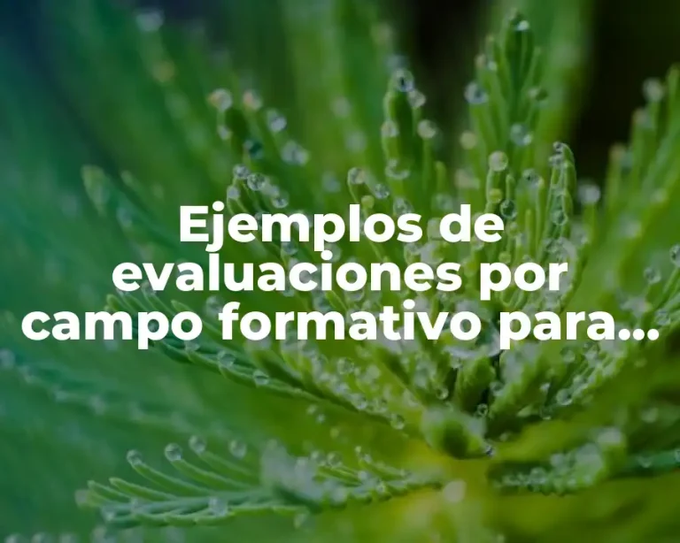Ejemplos de evaluaciones por campo formativo para preescolar