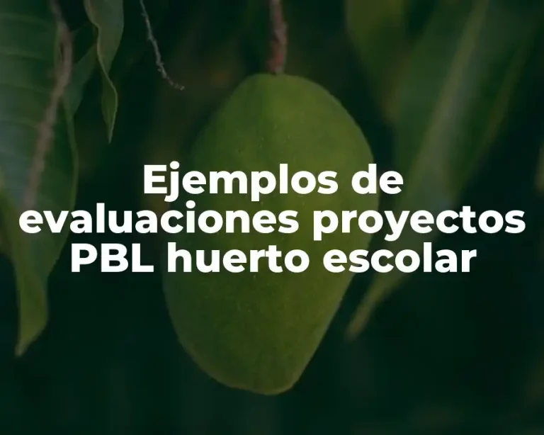 Ejemplos de evaluaciones proyectos PBL huerto escolar