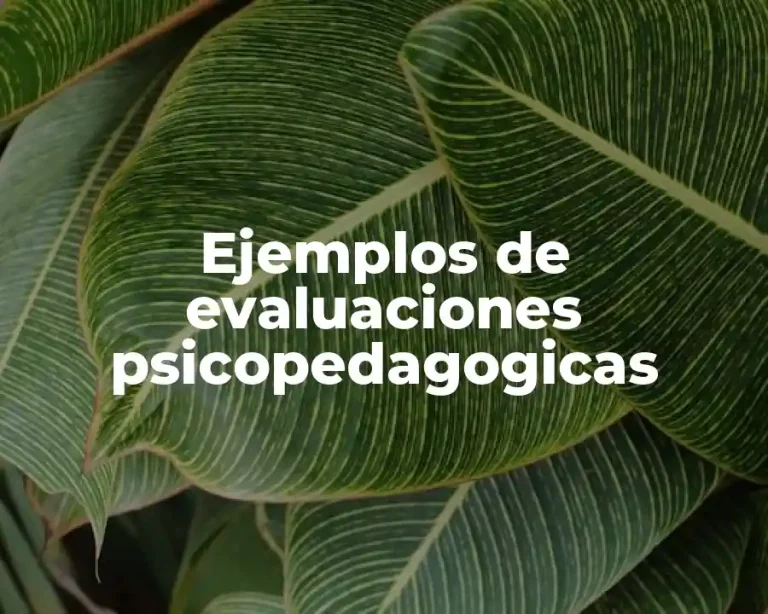 Ejemplos de evaluaciones psicopedagogicas