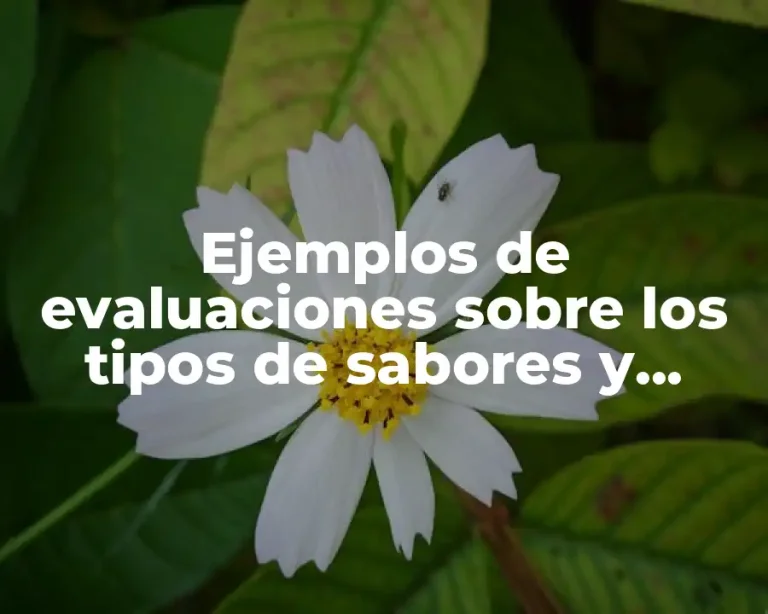 Ejemplos de evaluaciones sobre los tipos de sabores y Significado
