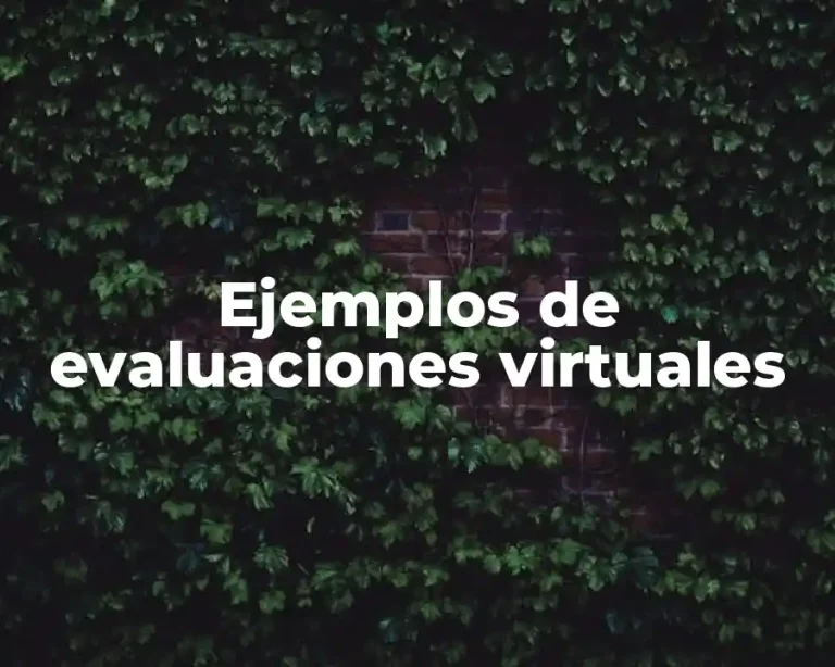 Ejemplos de evaluaciones virtuales