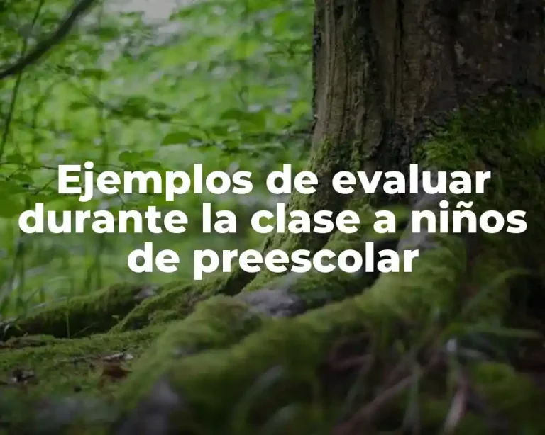 Ejemplos de evaluar durante la clase a niños de preescolar