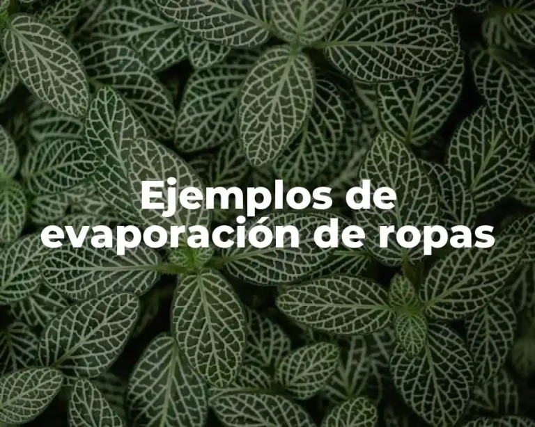 Ejemplos de evaporación de ropas