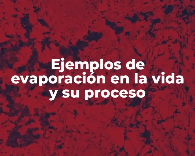 Ejemplos de evaporación en la vida y su proceso