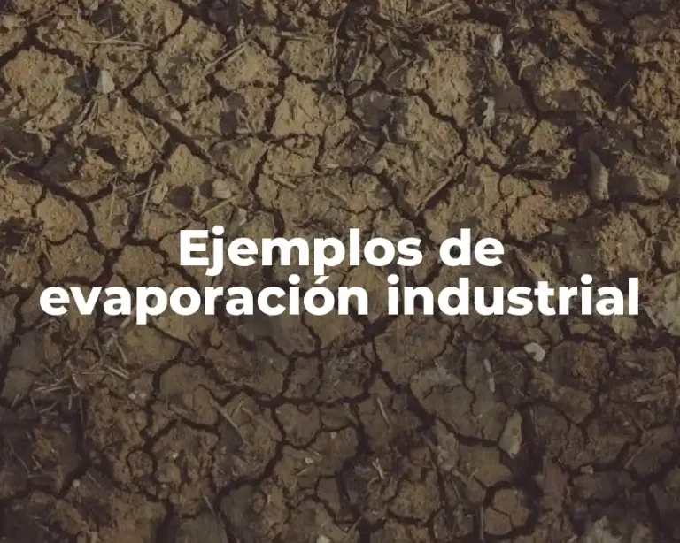 Ejemplos de evaporación industrial