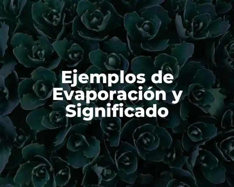 Ejemplos de Evaporación y Significado