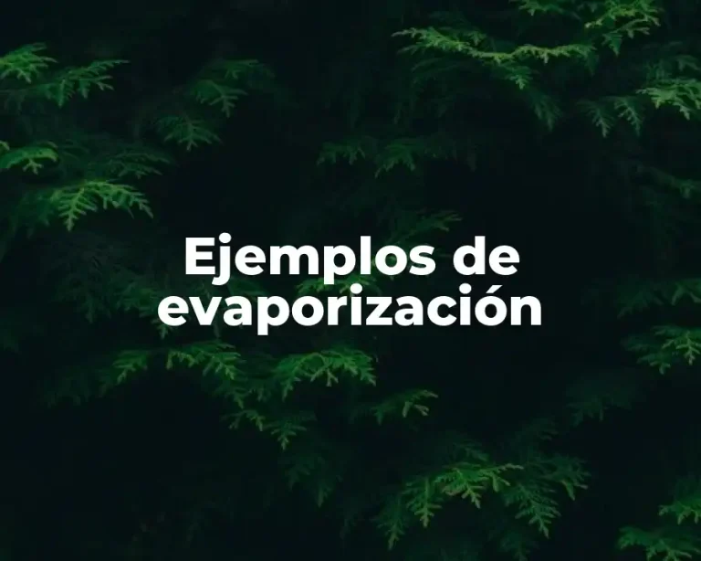 Ejemplos de evaporización