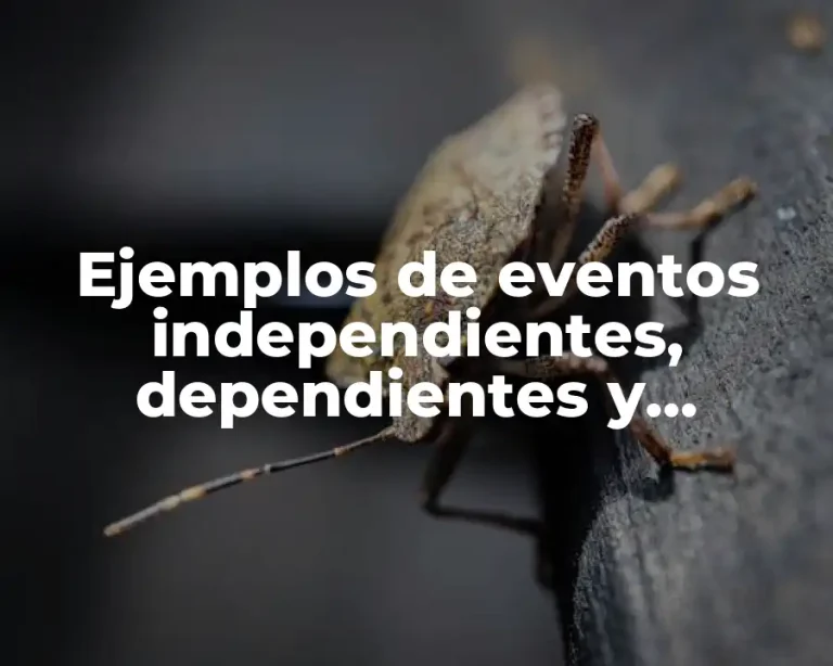 Ejemplos de eventos independientes, dependientes y mutuamente excluyentes