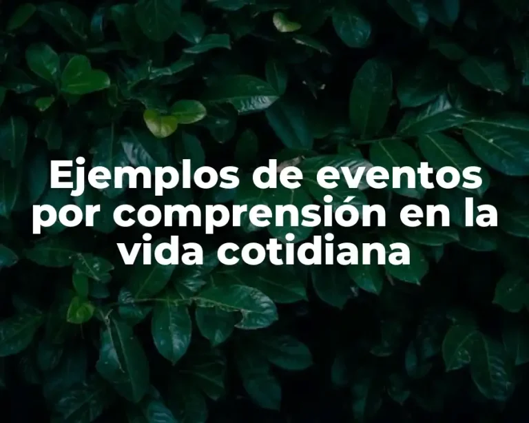 Ejemplos de eventos por comprensión en la vida cotidiana
