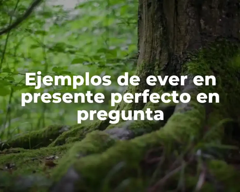 Ejemplos de ever en presente perfecto en pregunta