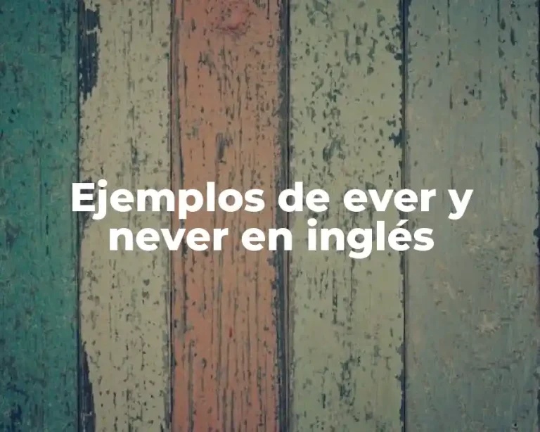 Ejemplos de ever y never en inglés
