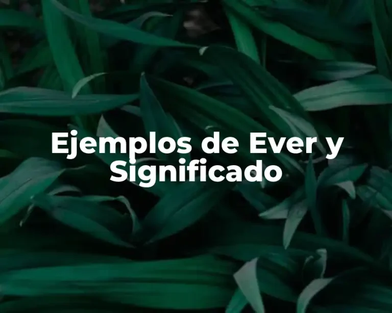 Ejemplos de Ever y Significado