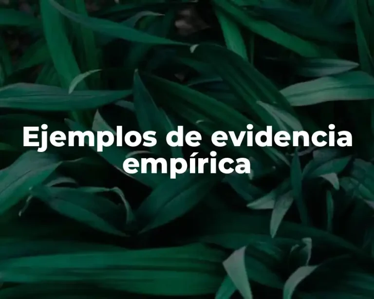 Ejemplos de evidencia empírica