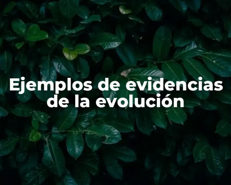 Ejemplos de evidencias de la evolución