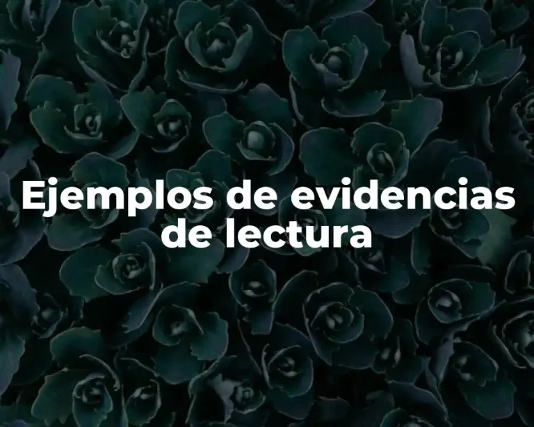 Ejemplos de evidencias de lectura