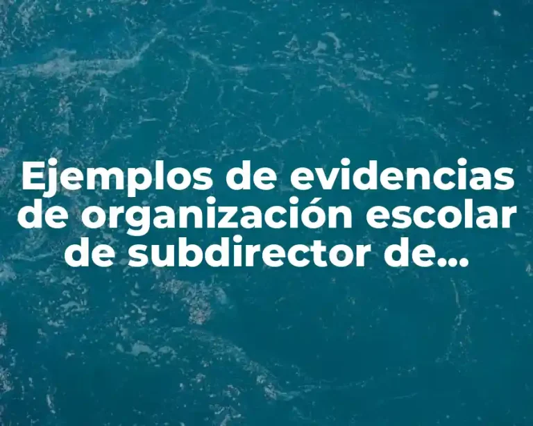 Ejemplos de evidencias de organización escolar de subdirector de gestión