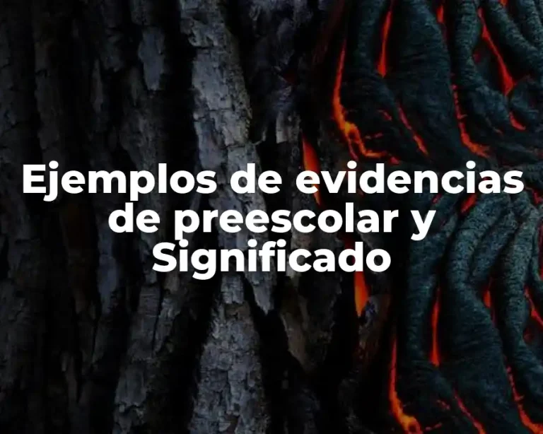 Ejemplos de evidencias de preescolar y Significado