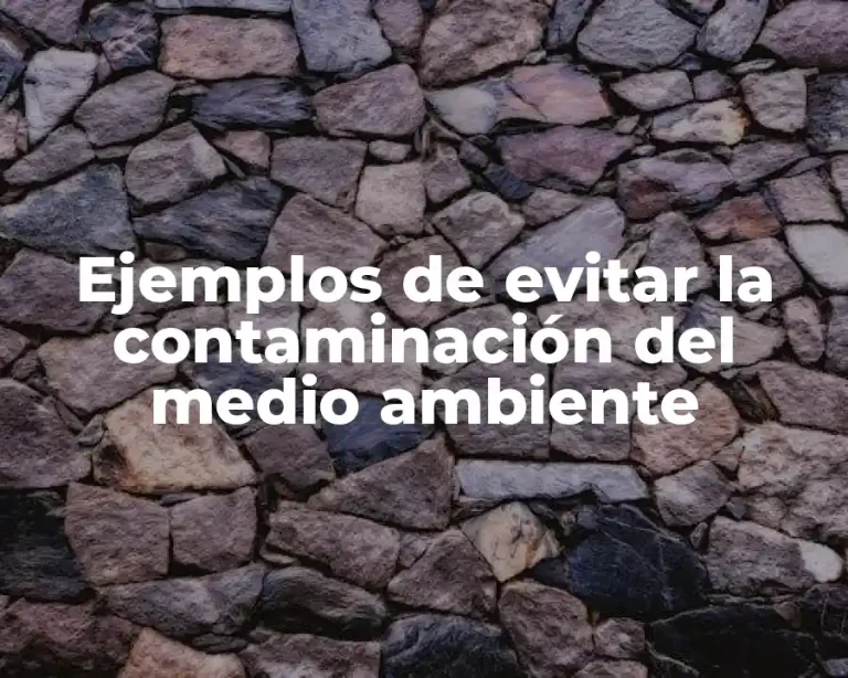 Ejemplos de evitar la contaminación del medio ambiente