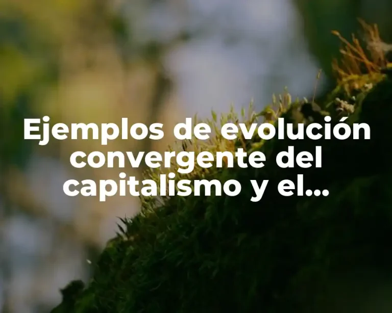 Ejemplos de evolución convergente del capitalismo y el comunsimo y Significado