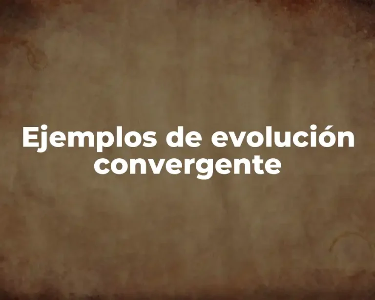 Ejemplos de evolución convergente