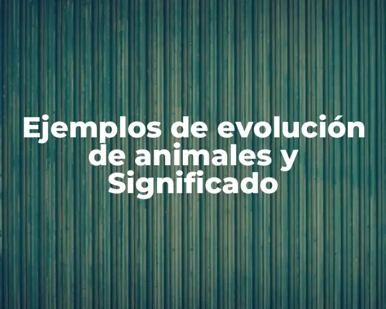 Ejemplos de evolución de animales y Significado