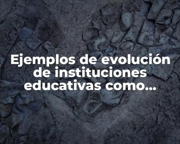 Ejemplos de evolución de instituciones educativas como organizaciones y Significado