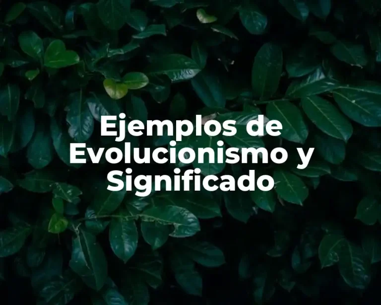 Ejemplos de Evolucionismo y Significado