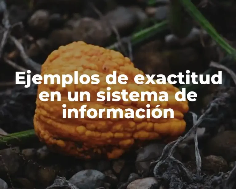Ejemplos de exactitud en un sistema de información