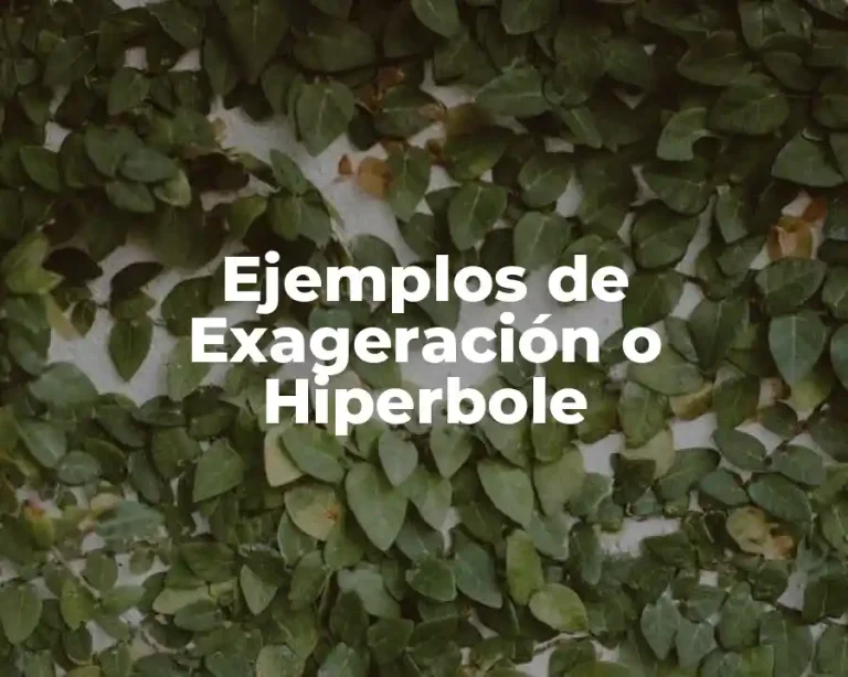 Ejemplos de Exageración o Hiperbole
