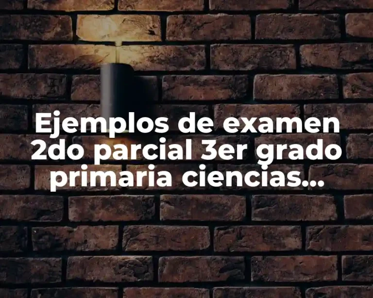 Ejemplos de examen 2do parcial 3er grado primaria ciencias naturales