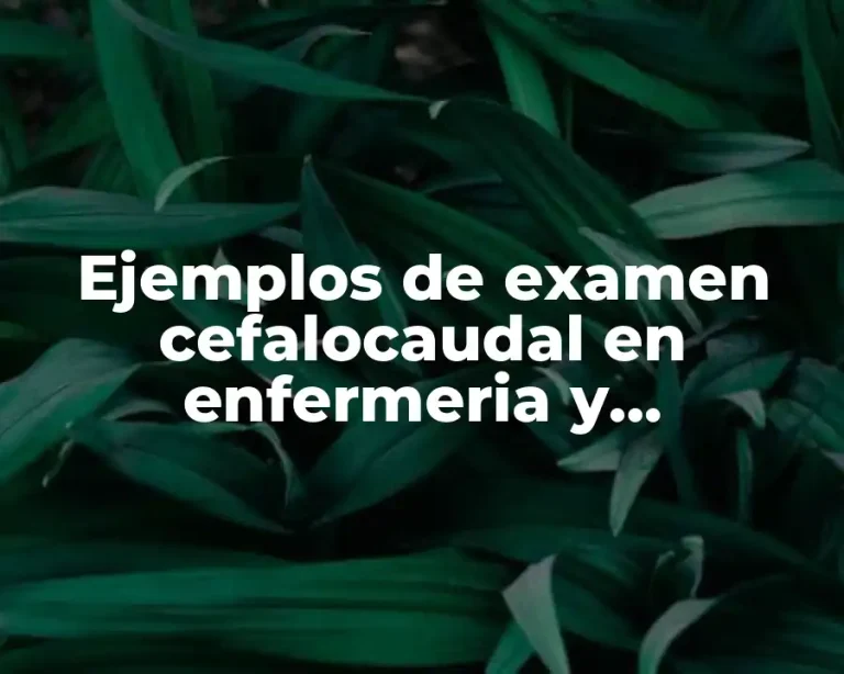 Ejemplos de examen cefalocaudal en enfermeria y Significado