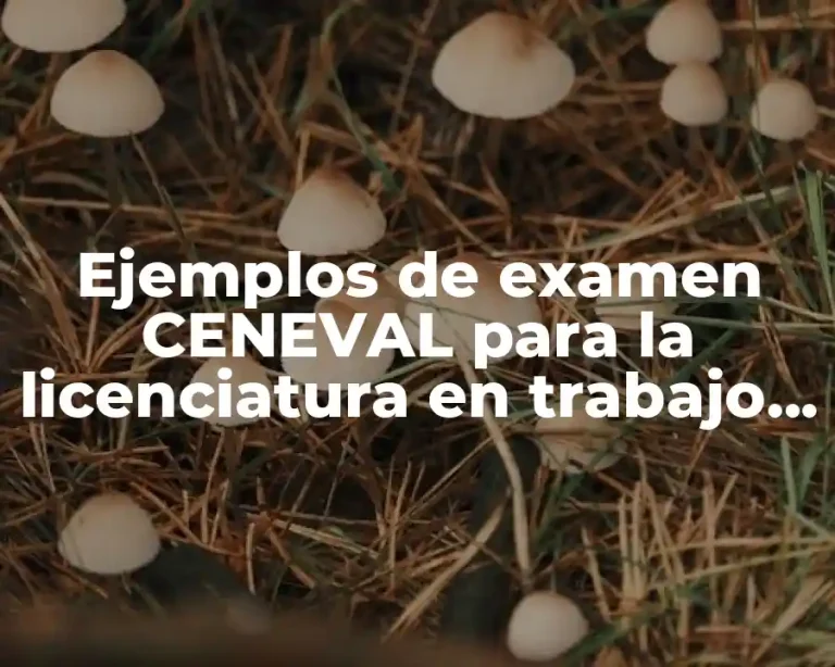 Ejemplos de examen CENEVAL para la licenciatura en trabajo social
