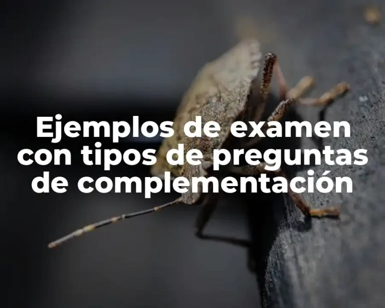 Ejemplos de examen con tipos de preguntas de complementación