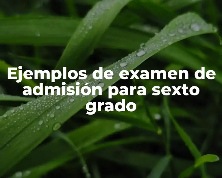 Ejemplos de examen de admisión para sexto grado
