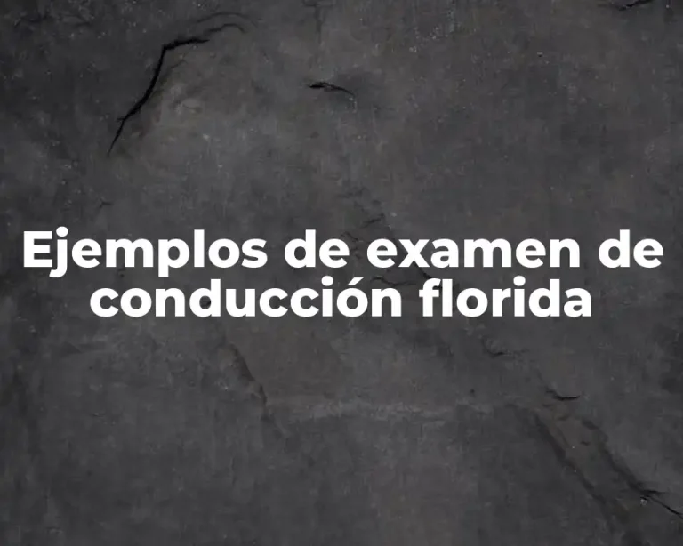 Ejemplos de examen de conducción florida