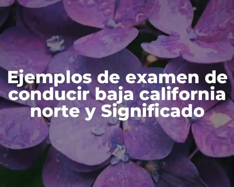 Ejemplos de examen de conducir baja california norte y Significado