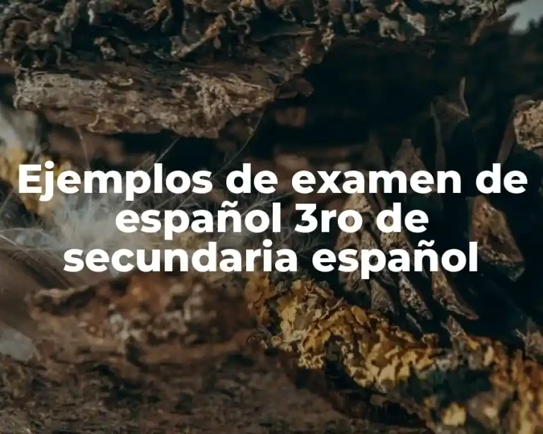 Ejemplos de examen de español 3ro de secundaria español