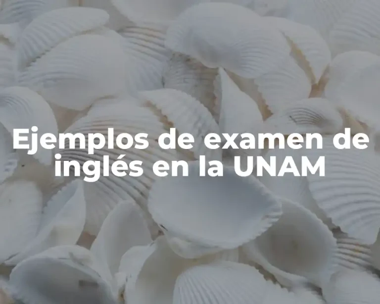 Ejemplos de examen de inglés en la UNAM