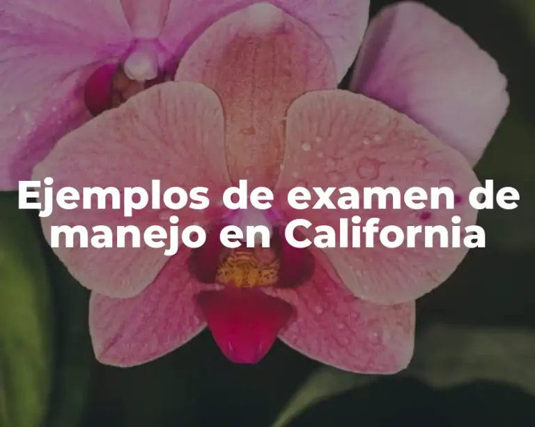 Ejemplos de examen de manejo en California